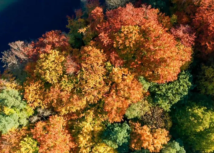 Parkresidenz Lychen, 4 Apartamento Lychen